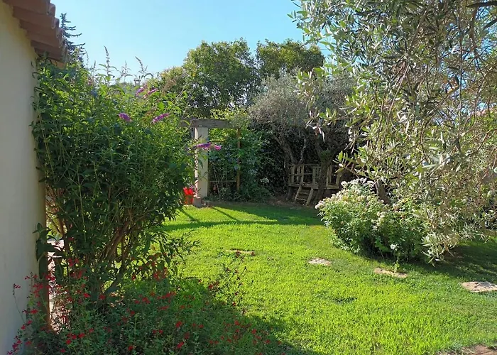 Le Cabanon